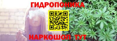 apvp Можга