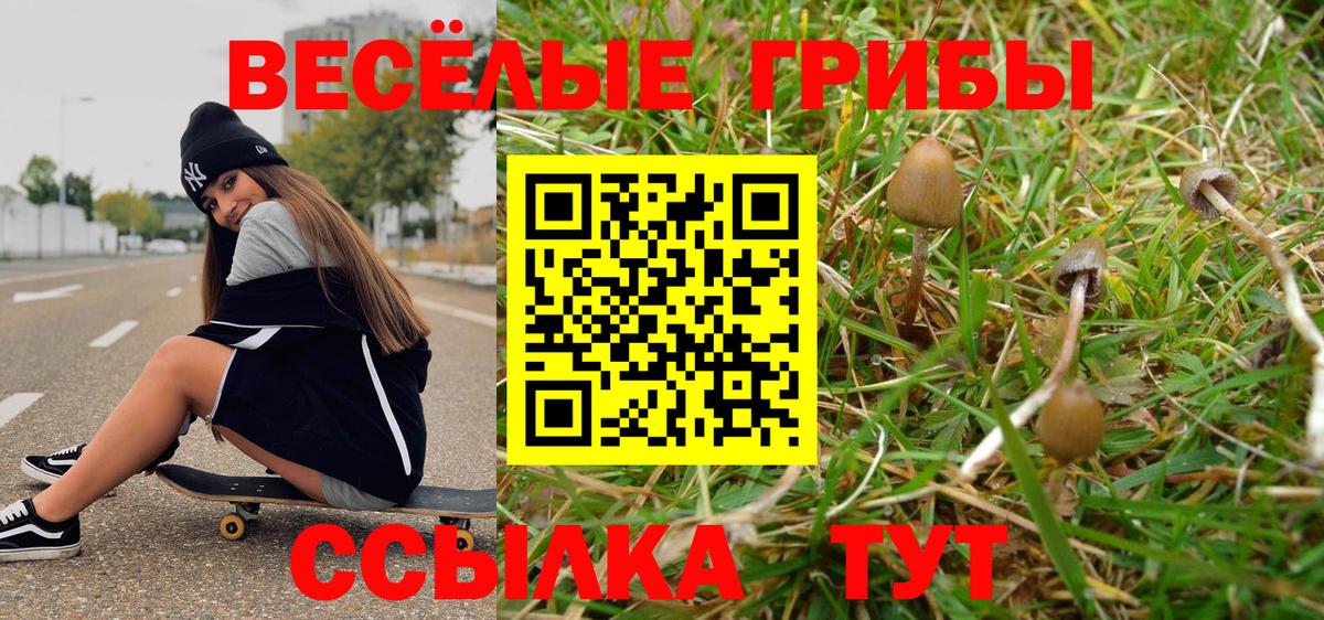 МАРИХУАНА  Вход с VPN  Мефедрон   Cocaine  Гашиш  Старая Купавна  Гашиш  ЭКСТАЗИ 