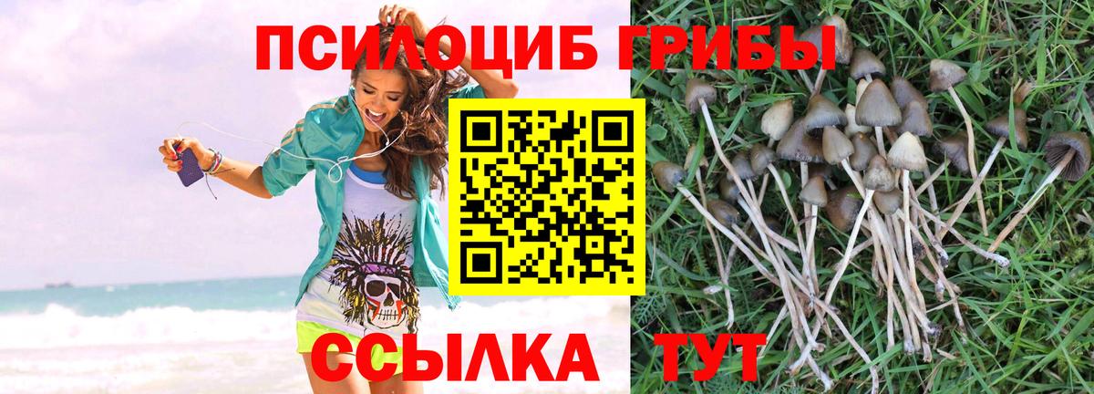 Галлюциногенные грибы прущие грибы Старая Купавна